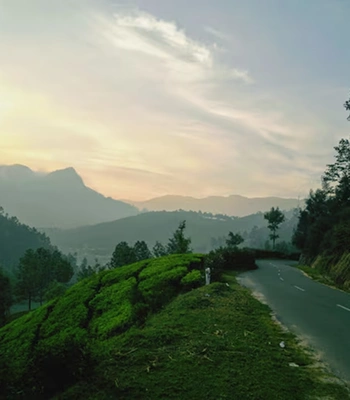 Kandhaloor Tour Package