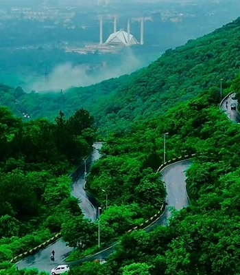 Valparai & Athirappilly Tour