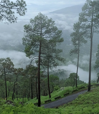 valparai tour agent in pollachi